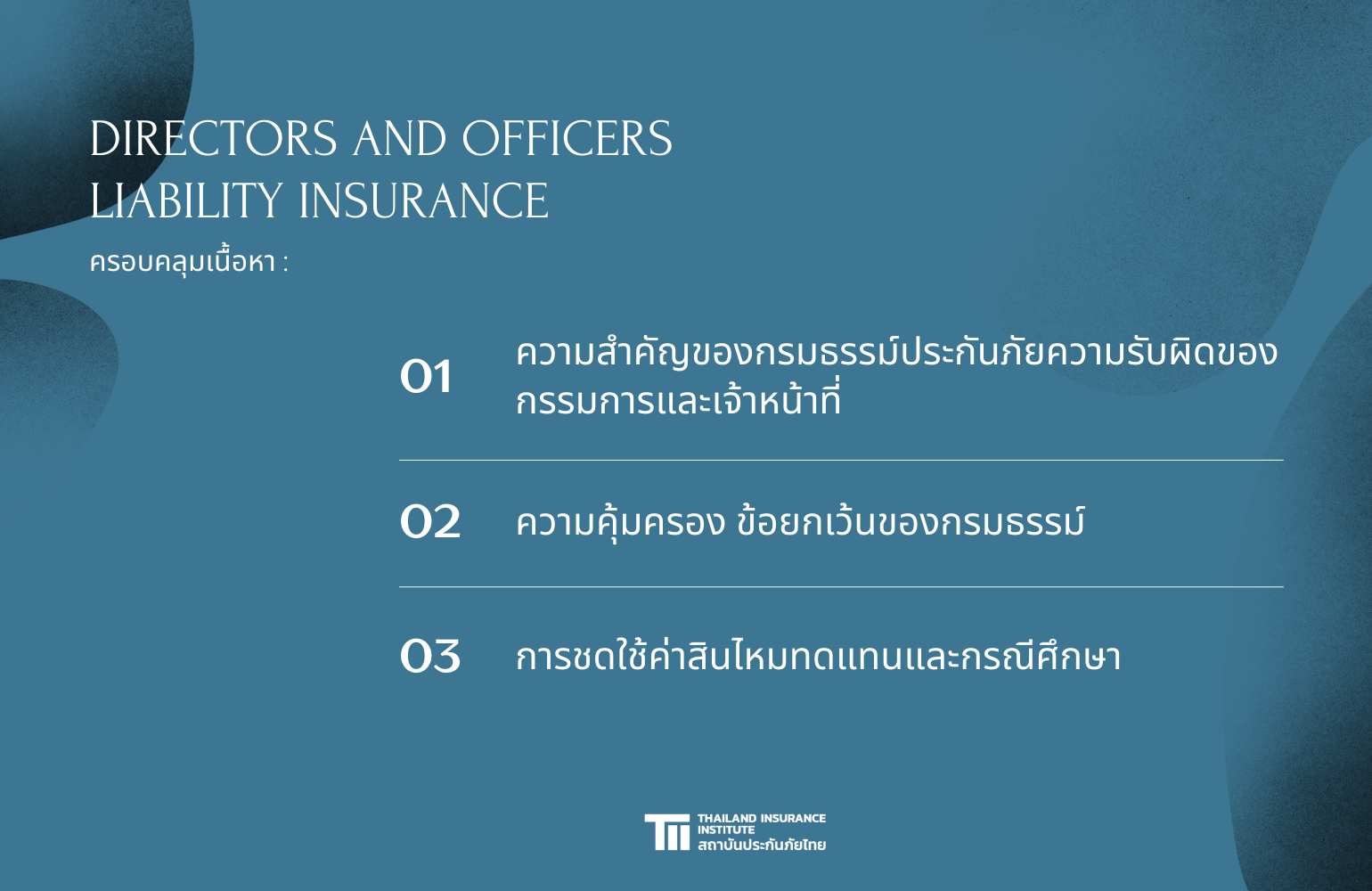 PR_Directors and Officers Liability Insurance_2